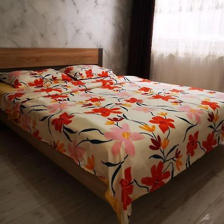 Two Bedroom Apartment Roşu エクステリア 写真