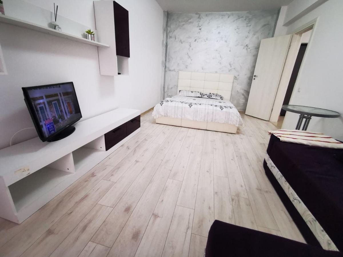 Two Bedroom Apartment Roşu エクステリア 写真